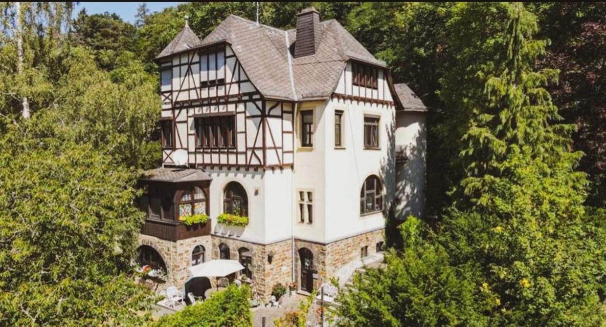Ring Residenz In Adenau Direkt Am Nuerburgring Bed & Breakfast Dış mekan fotoğraf